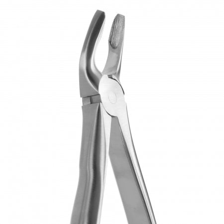TOOTH FORCEPS BLADE BEAKS N. 7 Coricama