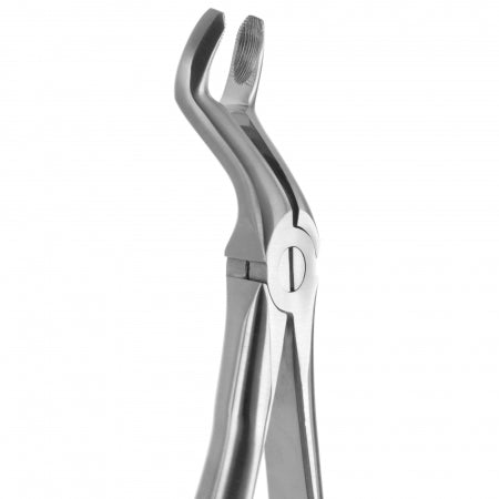 TOOTH FORCEPS BLADE BEAKS N.67 Coricama