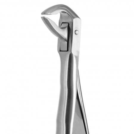 TOOTH FORCEPS BLADE BEAKS N.74 Coricama