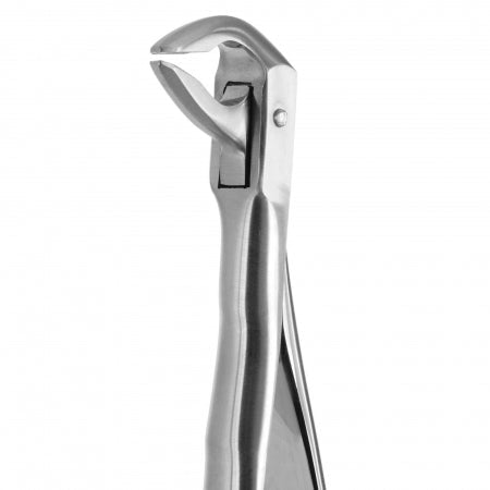 TOOTH FORCEPS BLADE BEAKS N.74 Coricama