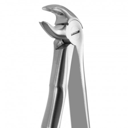 TOOTH FORCEPS BLADE BEAKS N.13 Coricama