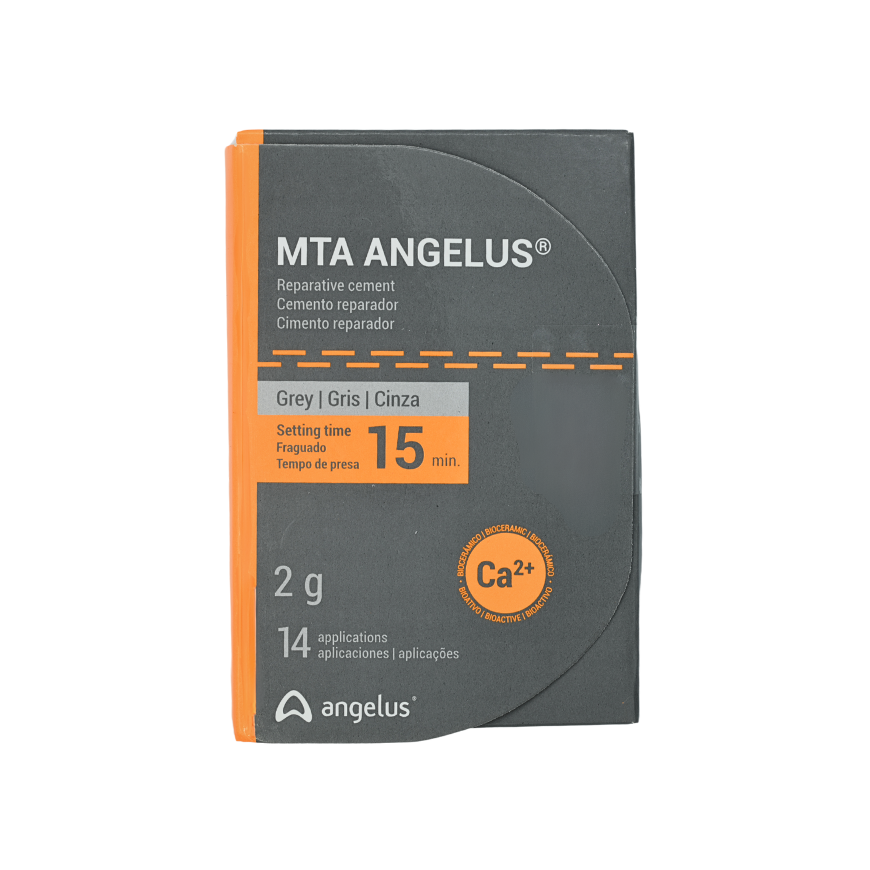 MTA ANGELUS Angelus