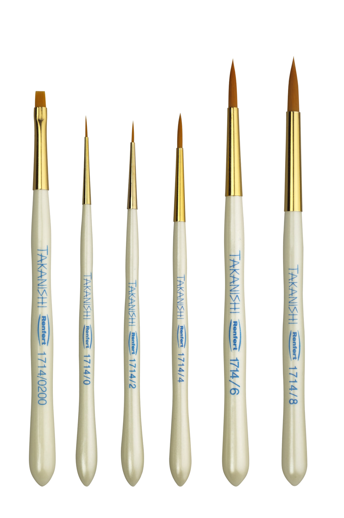 TAKANISHI brushes (6 pcs)